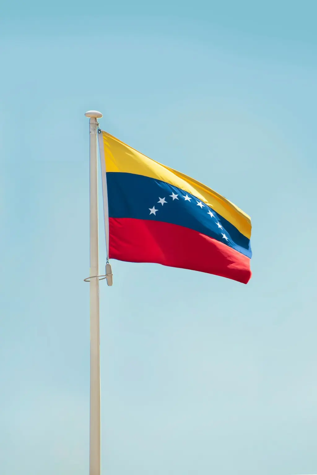 Bandera de venezuela